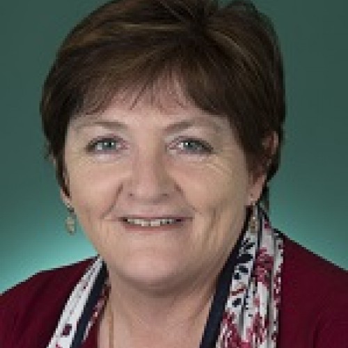 Anne Stanley MP profile image