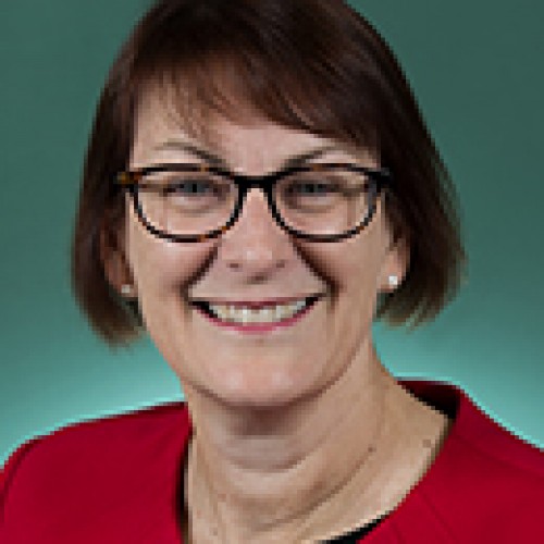 Susan Templeman MP profile image